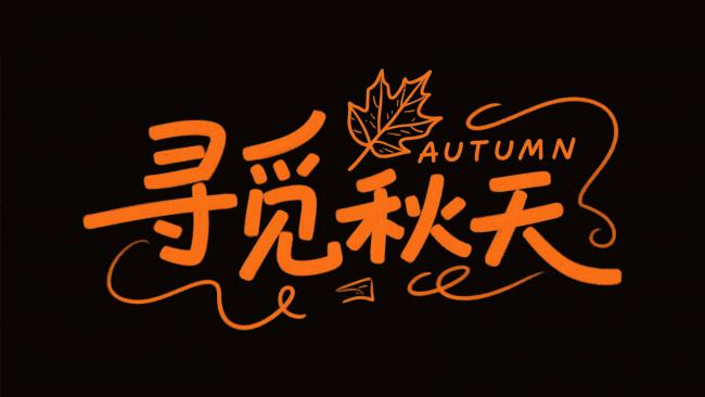 寻觅秋天：橙色手写艺术字海报设计